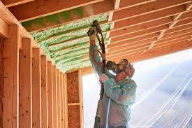 Best Eco-Friendly or Green Insulation Solutions  in Waterman, IL